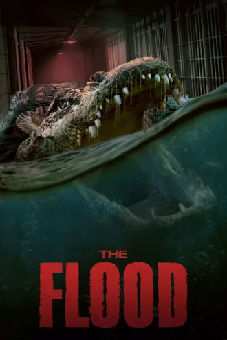 image_1 fiml caroussel